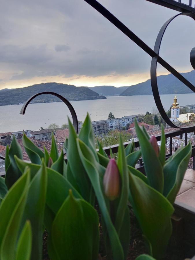 Casa Lui Marc
